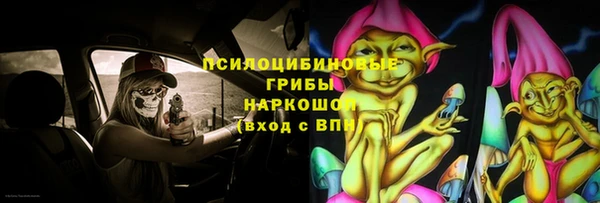 прущие грибы Верея